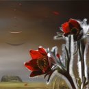 순환의바람으로부터 이미지