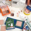 삼화필터 노동조합 | 브리타 필터 테라사이클 수거 신청 후기