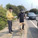 남원읍-58 이미지