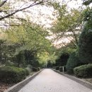 신트리공원 배드민턴장 이미지