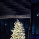 천군 28 키즈풀빌라 | 경주19개월 아기와 행복한 시간을 보냈던 숙소, 천군 28 키즈풀빌라 펜션