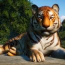 (주)게임코스터 이미지