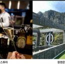 신설돈가 | 제주 인기 맛집 제주시 ‘옐로우돕’, 중문 ‘큰돈가 남쪽대표 중문점’, 성산 ‘로이앤메이’, 제주시...