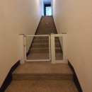 하이댕스 이미지