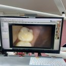 돌고개사랑치과의원 이미지