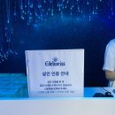 세븐일레븐 압구정로데오본점 이미지
