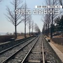 구읍로 | 영종도 레일바이크 예약 없이 타는 법 강아지 애견동반 후기