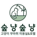 숲냥숲냥 이미지