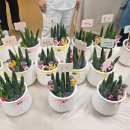 구로삼성어린이집 이미지