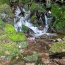 원주굽이길 원3코스 백운산자연휴양림길 | 원주굽이길 - 원3코스 백운산자연휴양림길