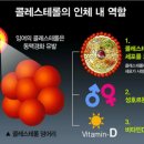센텀기능식품