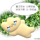 빅씨마트 - 동구 동부로26길 43 | 빅씨마트