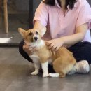 (주)알알알 이미지