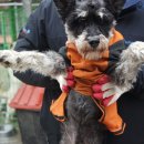 양산대로 이미지