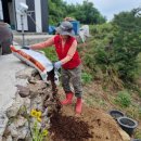 플렉스허브 이미지