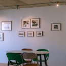 베얼스이얼스(Bear's ears) 이미지