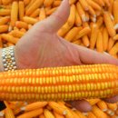 해일축산 이미지