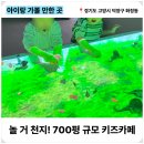 아이킹어린이집 이미지