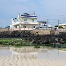 협재 별채 이미지