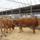 가래울농장 이미지