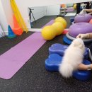 고려종합동물병원 이미지