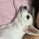 [블챌] 4주차