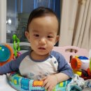 영월메디칼약국 이미지