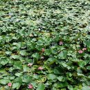 탑골약수터 이미지