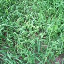 여름농장 이미지