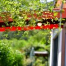 내서읍384 이미지