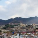 숲향여행사