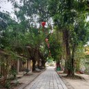 스테이자유 이미지