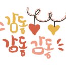 박성배가구