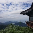 도풀이네 이미지