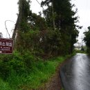 들레목장 이미지