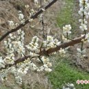 파란들농장 이미지