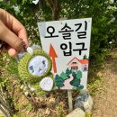 동화속오두막 | 강화도 슬로우레인 카페 / 동화속 오두막같은 산골 카페 / 조용하고 아기자기한 디저트 카페