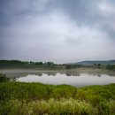 대황강 둘레길 이미지