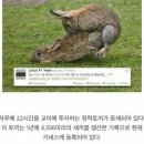 신기 이미지