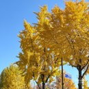 놀부부대찌개 | 가락시장역 맛집 혼밥 가능한 놀부부대찌개 방문 후기