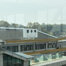 민들레 한약국 | 청주 . 대전 하루 꽉 채워 여행하기