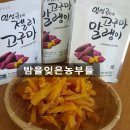 선향농장 이미지