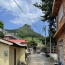 스테이, 토닥 in ulleung | 울릉도 스테이 토닥 in ulleung 후기 + 울릉도 숙소 예약시 고려할점