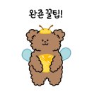 아담만두안산