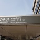 강남 신사동 압구정중학교앞 미국 호주 스페인 유학원 임대 / 41㎡(12 P) (유학원 34140) 이미지