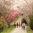 행암면옥 | 남파랑길 창원구간 7-9코스 도보여행 후기