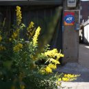 강남가스상사 이미지