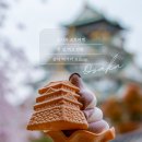오사카 교토 3박4일 먹거리 맛집 간식 모음zip. 일본자유여행