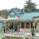 김유정역 이미지