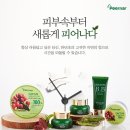 피오나화장품 이미지